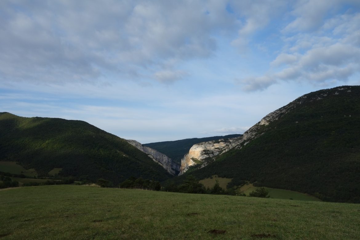 tete-de-la-dame-000