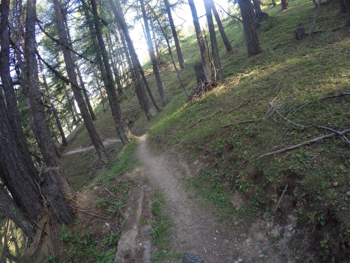 DCIM101GOPROGOPR1471.